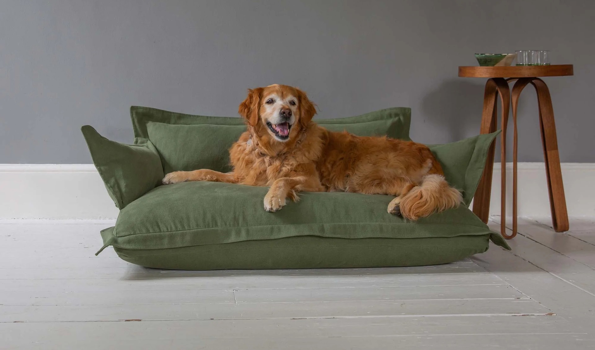Jump Into Our Gorgeous New Dog Beds With All Four Paws